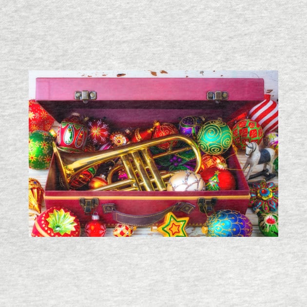 Trumpet In Suitcase With Ornaments by photogarry